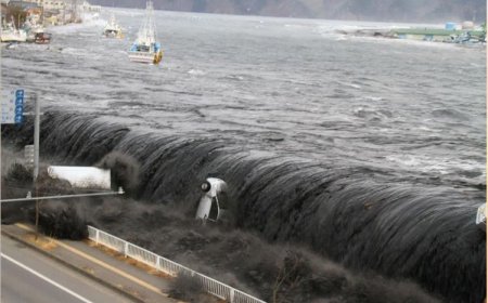 "تسونامي" يضرب قبالة سواحل تشيلي الجنوبية