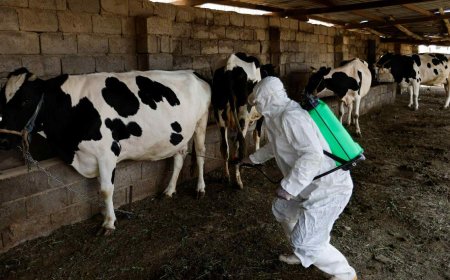 الموصل تسجل إصابة جديدة بالحمى النزفية