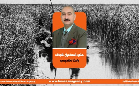 علي الجاف يكتب| حماية وتحسين البيئة