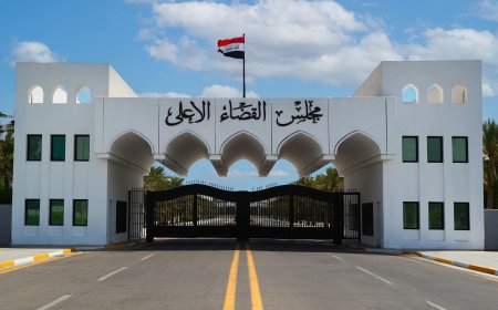 القضاء: التحقيقات مع عناصر داعش القادمين من سوريا ستستمر ما بين 4-6 أشهر